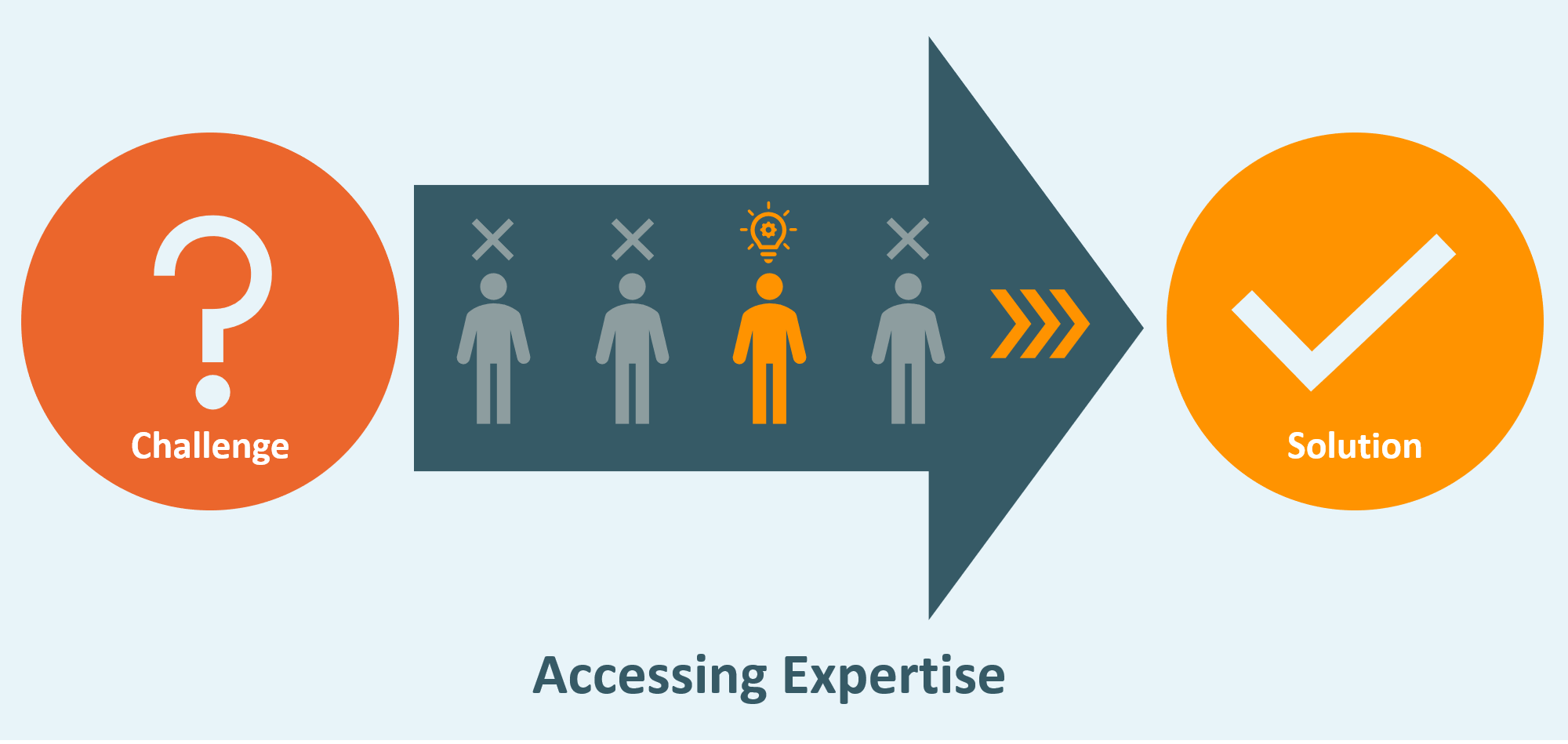 accessing expertise 2